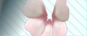 pdx accessory flower petal wings.jpg