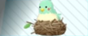 pdx accessory bird's nest.jpg