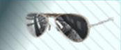 pdx accessory sunglasses.jpg