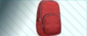 pdx accessory backpack.jpg