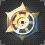 10Icon goldstar.JPG