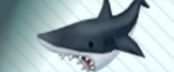 Pdx accessory great white shark.jpg