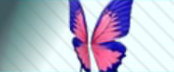 pdx accessory butterfly wings.jpg