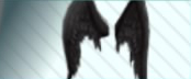 pdx accessory fallen angel wings.jpg