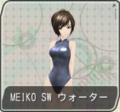 F-module-meiko09.png