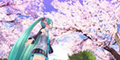 19rainofcherryblossoms.png