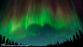 Thumbnail for version as of 20:51, 2 February 2020
